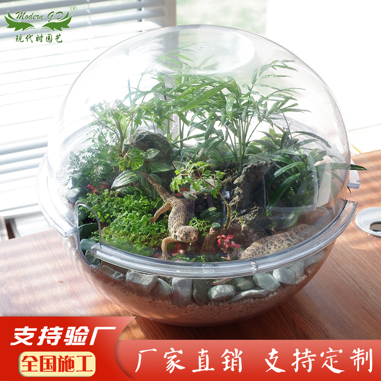 微景观容器花盆生态盆透明半圆小型景观透明鱼缸种草莓花盆