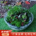 微景观容器花盆生态盆透明半圆小型景观透明鱼缸种草莓花盆