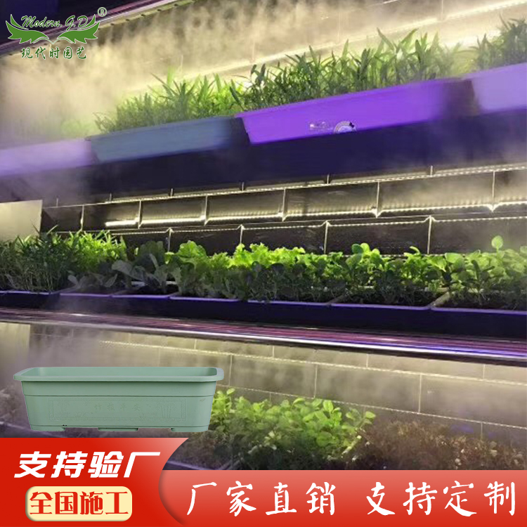 家庭园艺阳台蓄水种植农业长方形花盆水培农业种花种菜种草莓