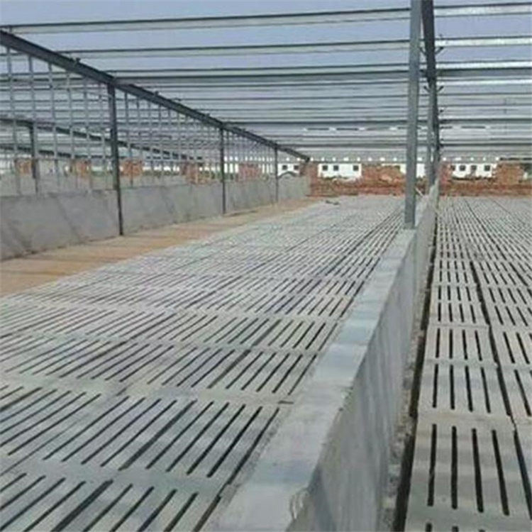 水泥漏粪板 水泥漏粪板厂家 供应欧式机制漏粪板