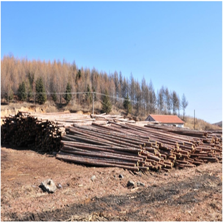 油炸杆 油炸杆批发 油炸杆厂家