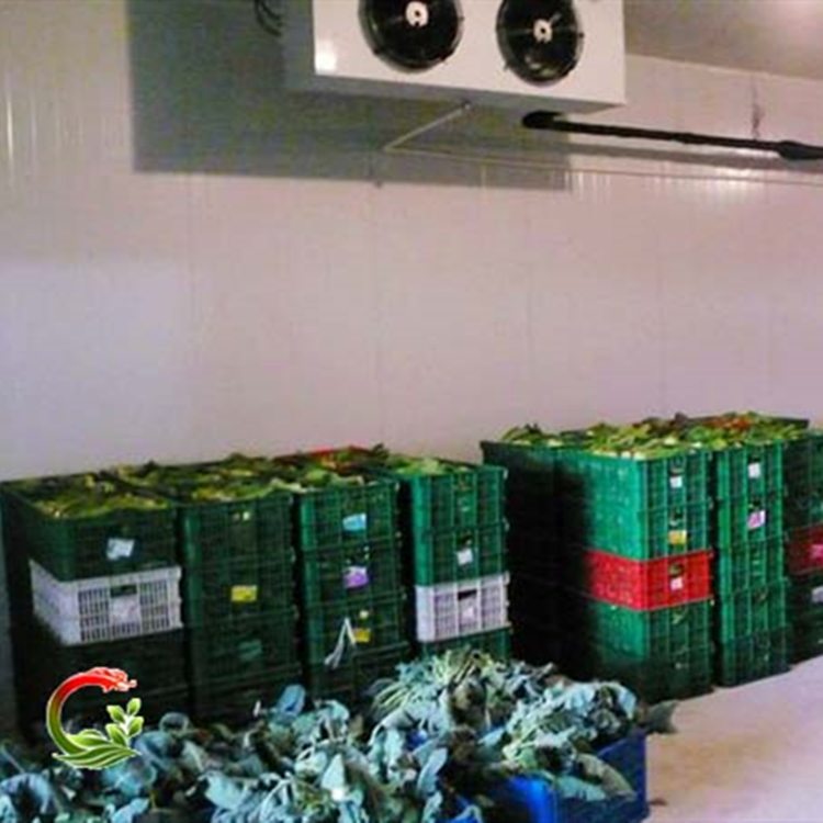 沈阳蔬菜批发配送 保质保量 专供企事业单位蔬菜配送服务