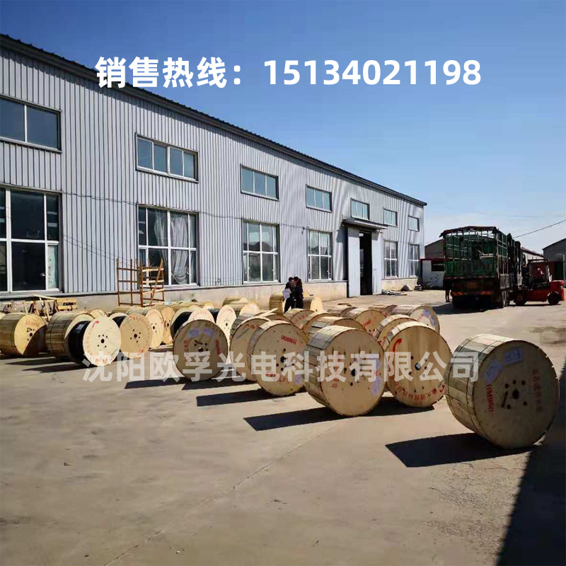 GYFTY53/GYFTZY53-8B1非金属地埋阻燃光缆