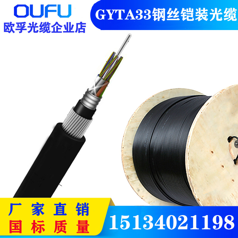 GYTA33-24B1 防鼠光缆 水下光缆 一圈钢丝铠装光缆