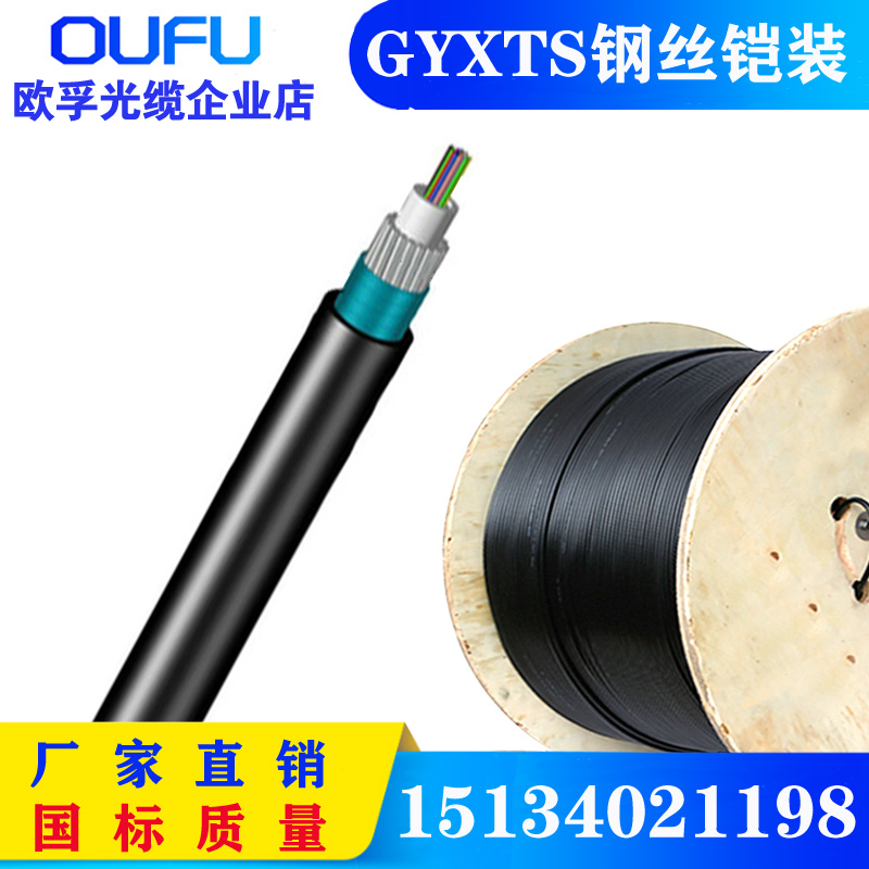 GYXTS-8B1 防鼠光缆 钢丝铠装光缆 防鸟啄光缆