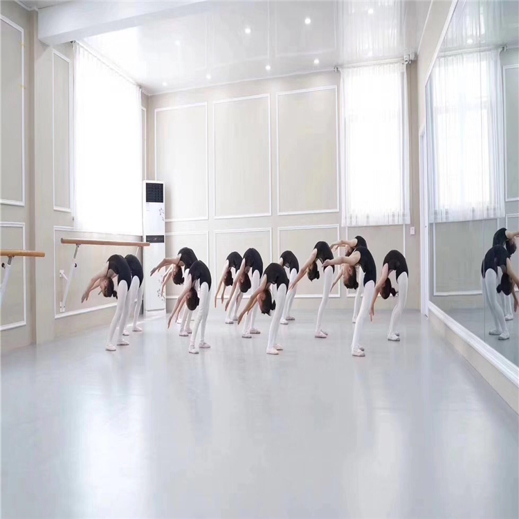 舞蹈地胶厂家 沈阳舞蹈地胶批发 舞蹈专用塑胶地板