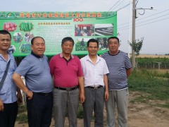 2016谷军应邀到陕西省宝鸡市宝陵农业种植专业合作社技术指导