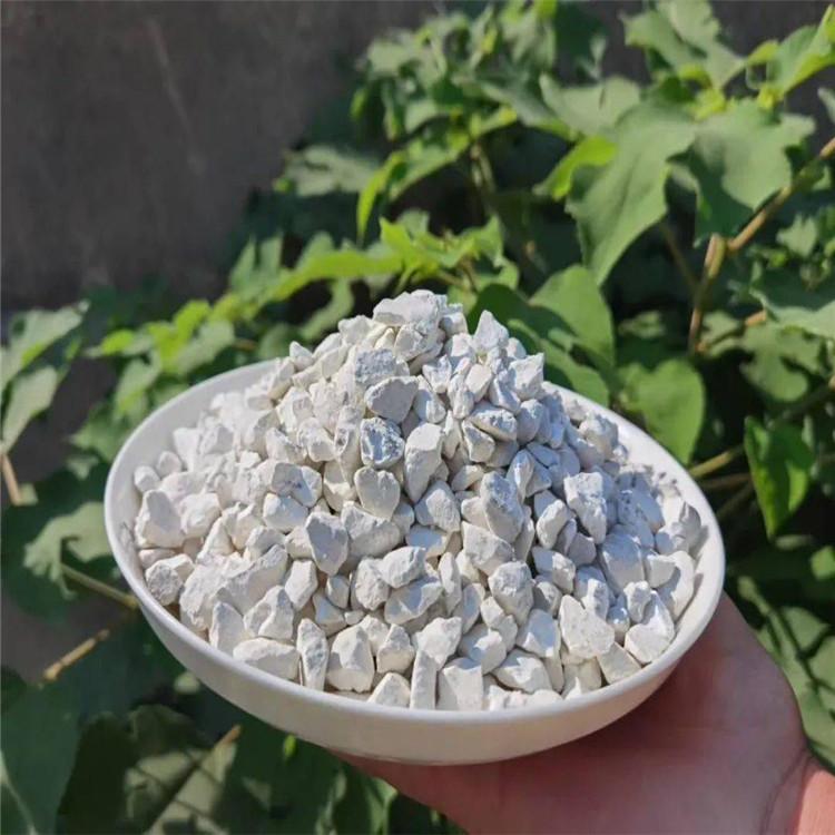 房间除湿生石灰 周边驱虫石灰 辽宁生石灰批发