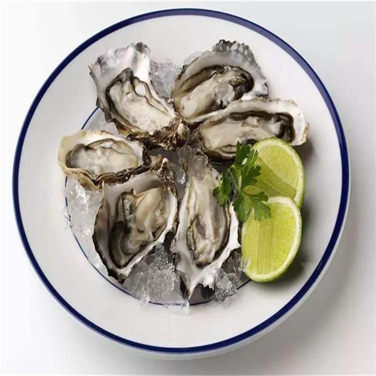 海蛎子批发 东港野生新鲜海蛎子生蚝 口感清甜爽滑 个大肥美 价格实惠