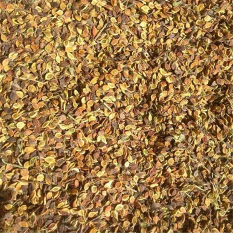 优质供应威灵仙种子 威灵仙种子种植基地 批发价格  发芽率高