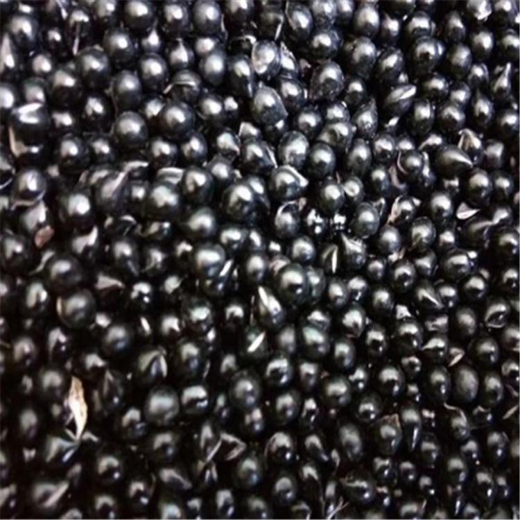 白藓皮种子 白鲜皮药材种子 白鲜皮籽种植基地直销价格