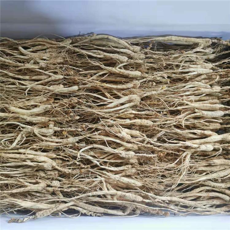 东北林下参 散装人参批发 林下参厂家