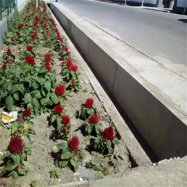 1000cmX1000cmX2000cm水泥矩形槽 吉林水泥流水槽 减免山洪及泥石流危害