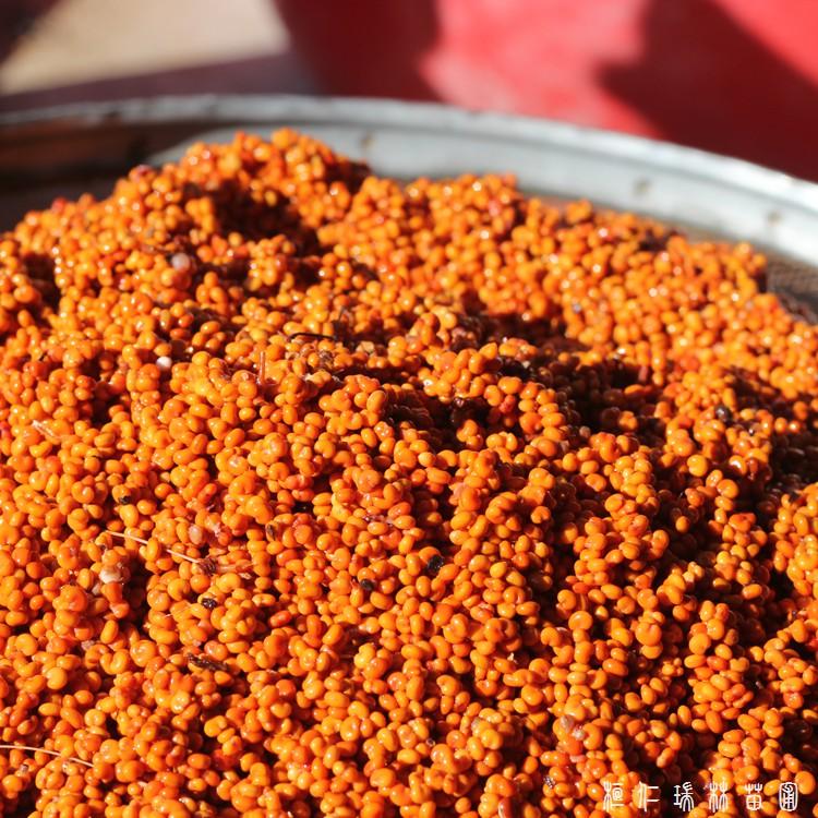 桓仁瑞林 五味子树苗 五味子种子 五味子小苗