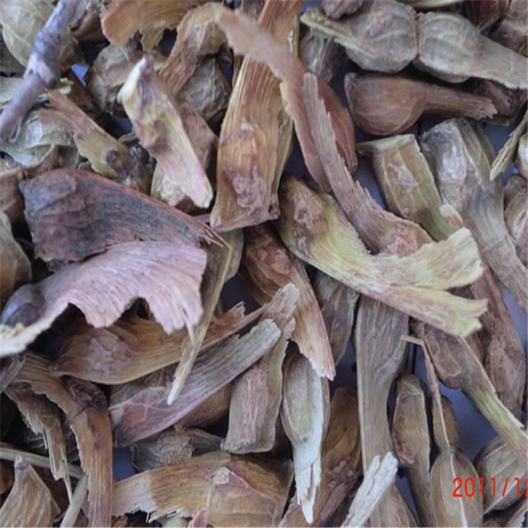 九角枫种子批发 九角枫种子价格优惠 全国发货 永顺苗圃