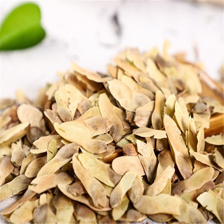 元宝枫种子 三角枫籽 苗木种子批发 永顺苗圃