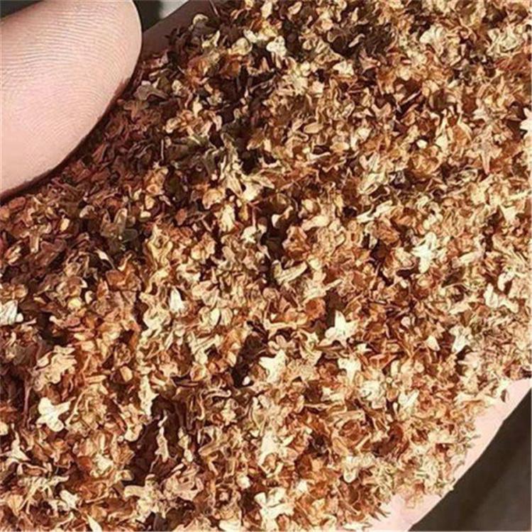 白桦种子 新采白桦种子 绿化苗木种子 永顺苗圃