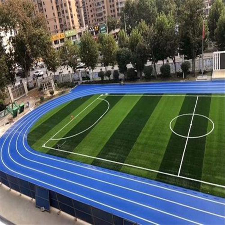 校园塑胶跑道工程 沈阳塑胶跑道 学校塑胶跑道价格
