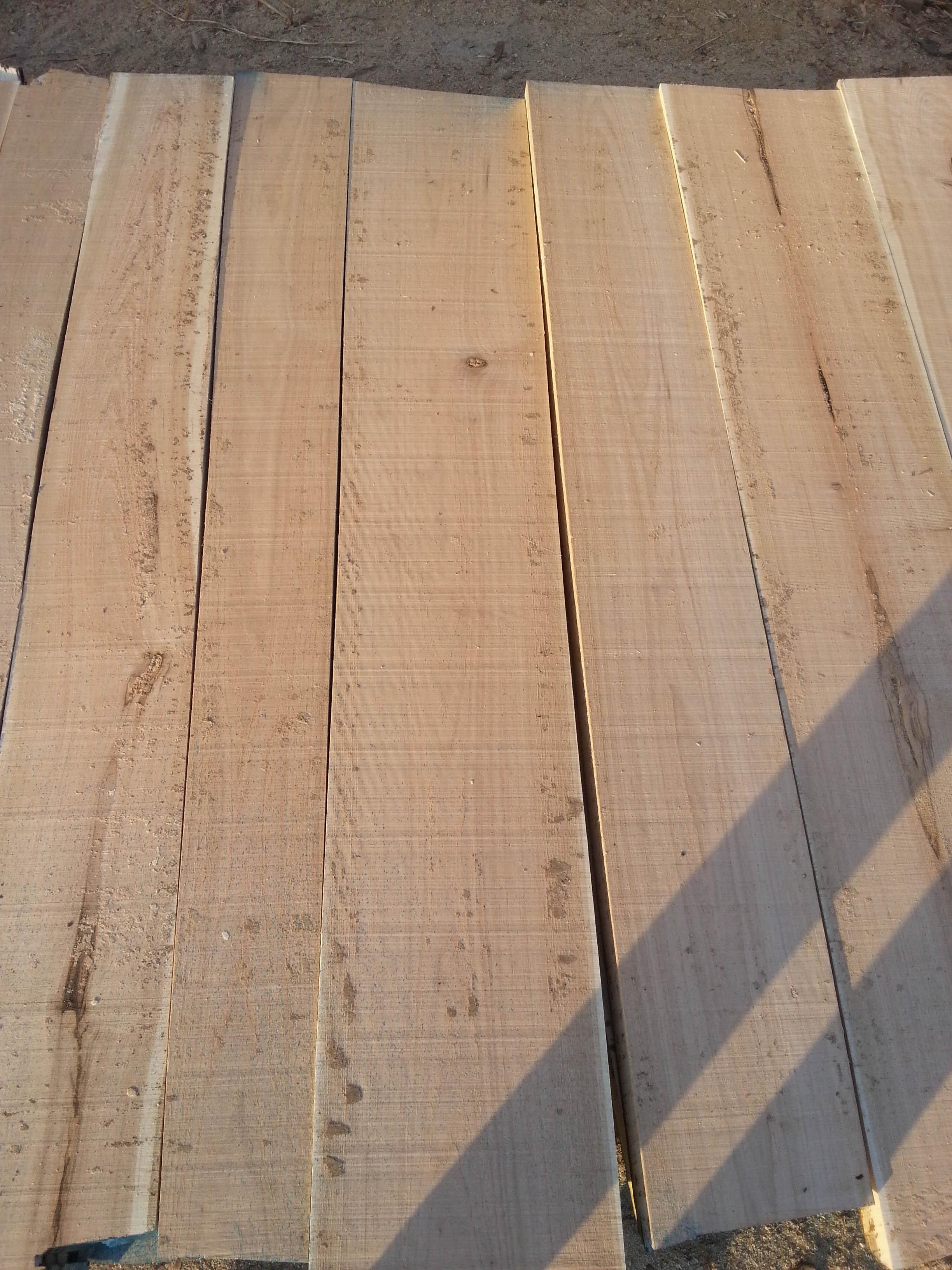 楸木烘干大板 55厚 抚顺鸿源多年板材生产厂家 全国销售物美价优