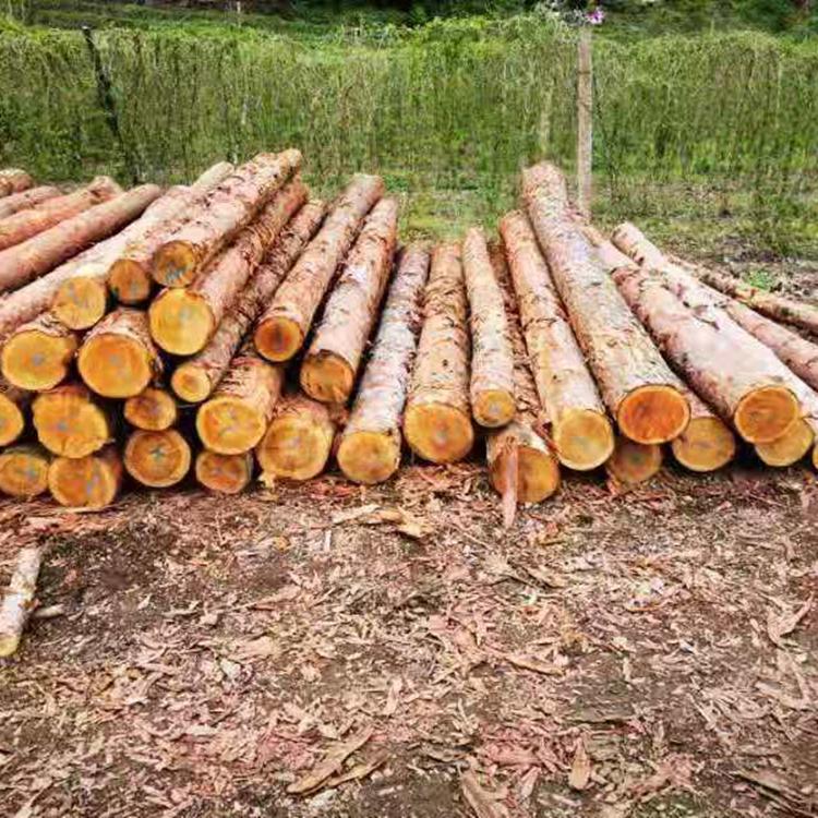 廊坊定制模板 木方 专业建筑木方厂家 鸿源木业