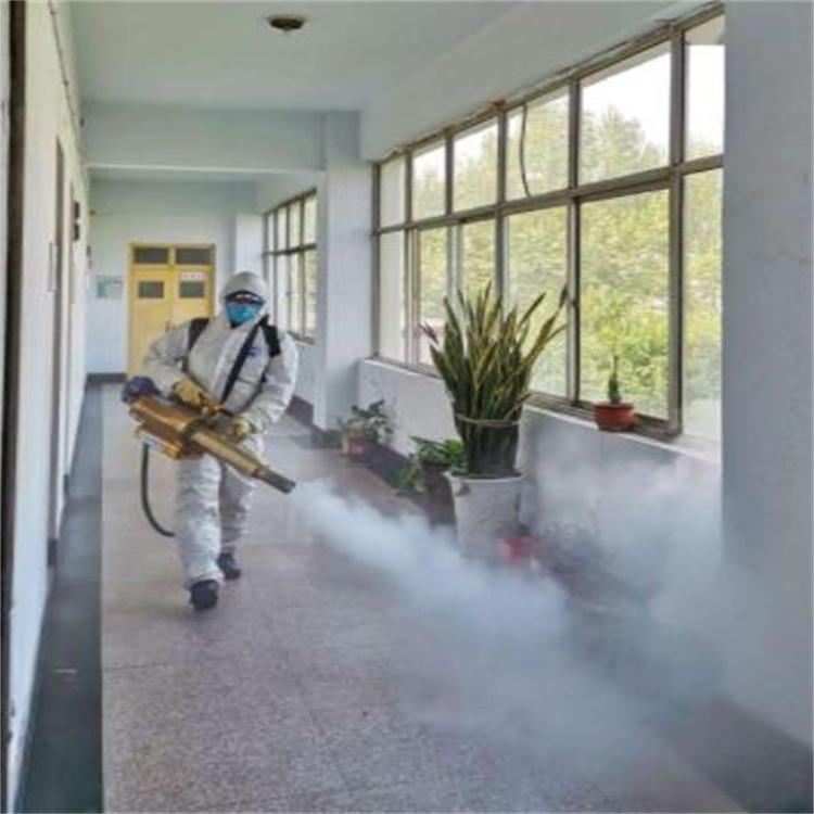 公共场所消杀 商超饭店酒店上门消杀灭蚊虫