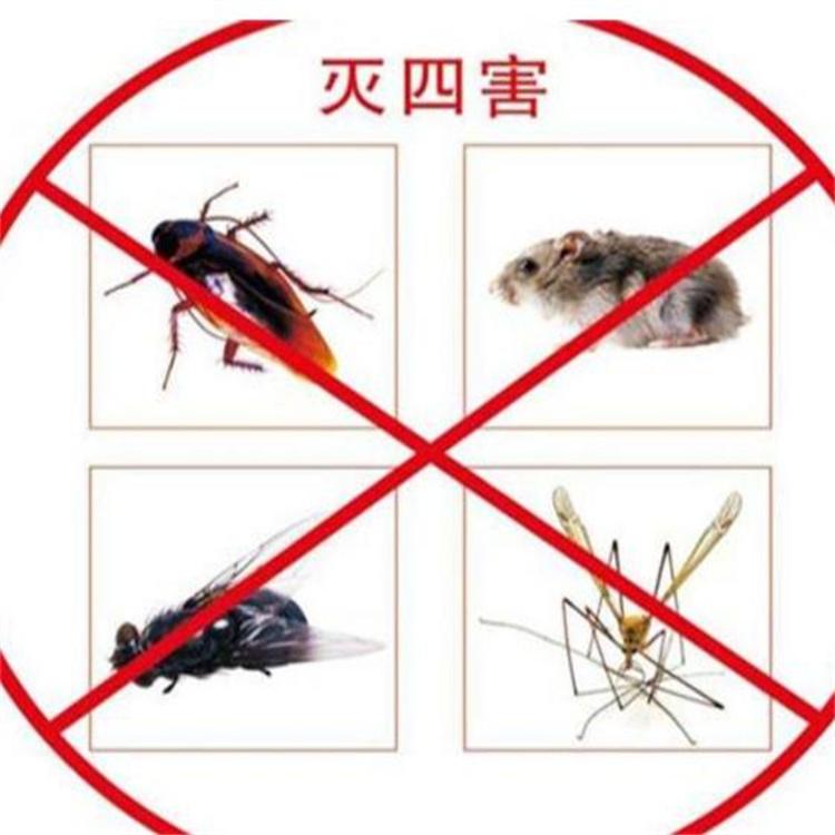 灭虫消毒 消杀除虫服务 酒店宾馆灭蟑螂灭蚊虫
