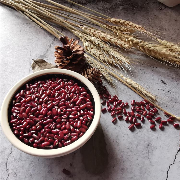 红赤豆 赤小豆 当季红赤豆 五谷杂粮 沈阳杂粮批发 除湿 薏仁米 杂粮粥伴侣 