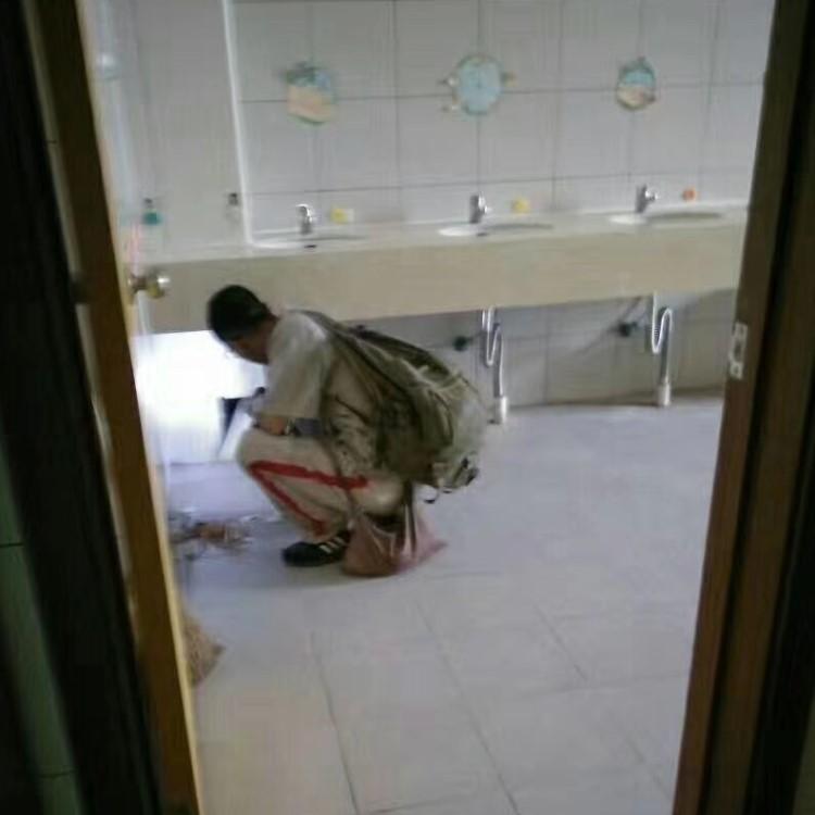 灭蟑螂 灭鼠杀虫 社区除四害 灭蚊蝇 灭鼠沈阳消杀公司