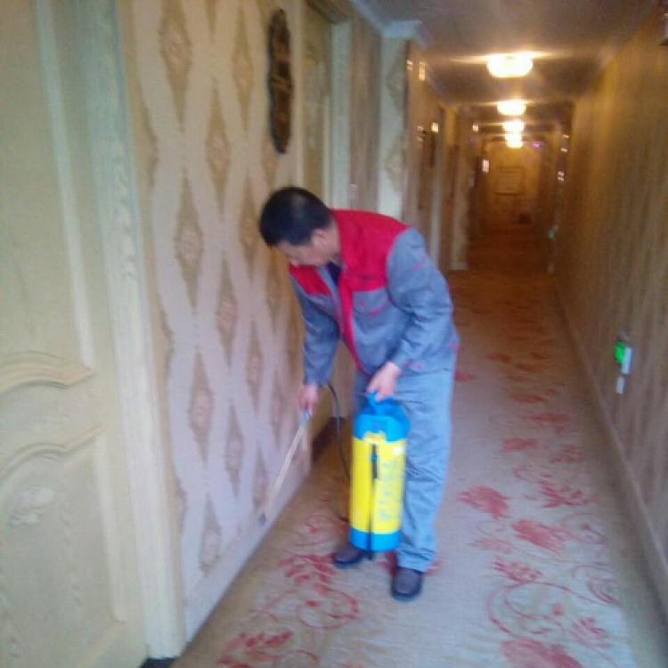 宾馆灭鼠除虫服务 杀虫灭鼠价格优惠_酒店杀虫灭鼠_上门服务