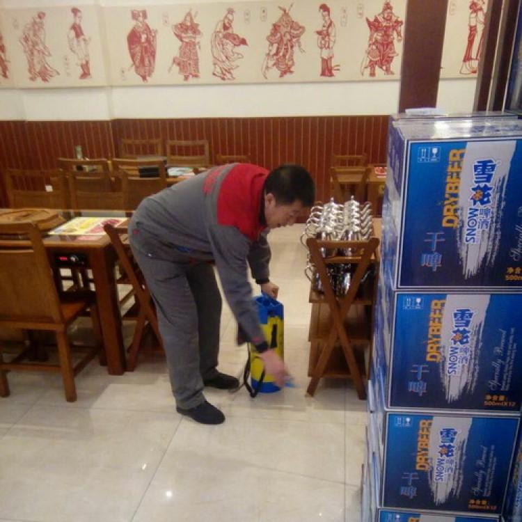 饭店灭鼠消杀 餐厅杀虫灭鼠 定制施工 专业消杀
