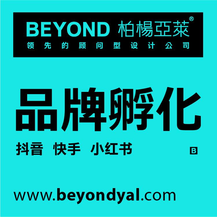 品牌孵化 标志logo设计 包装设计 VI设计 柏杨亚莱品牌策划