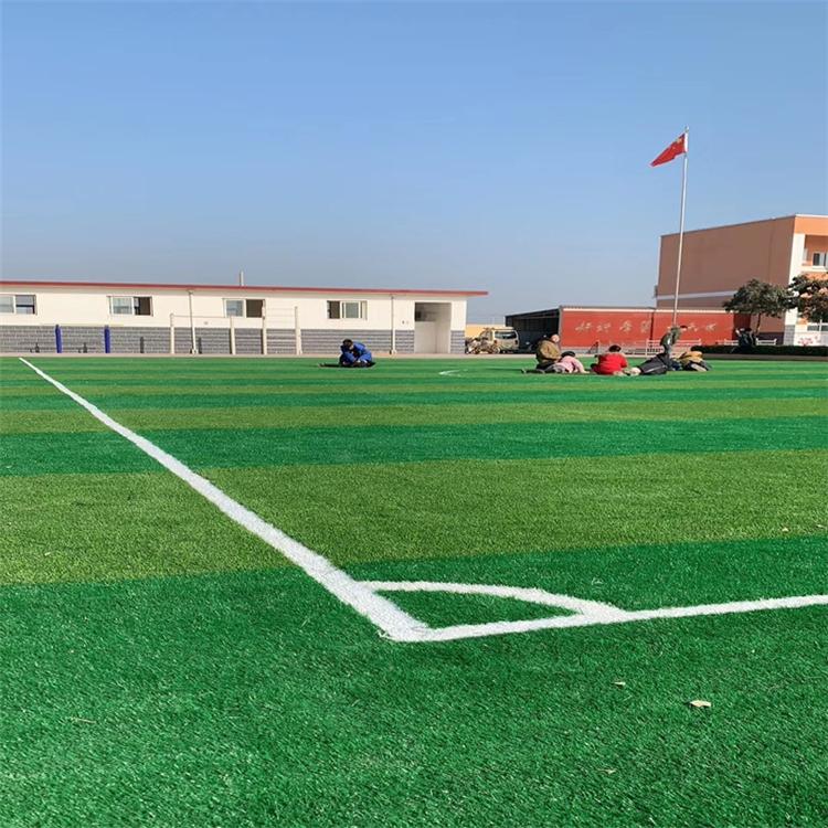 仿真草坪 塑料人造草皮 人工草坪装饰