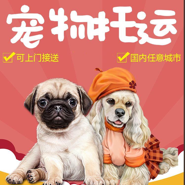 托运公司联系电话 航空运输 航瑞物流 专业做空运 更快到达