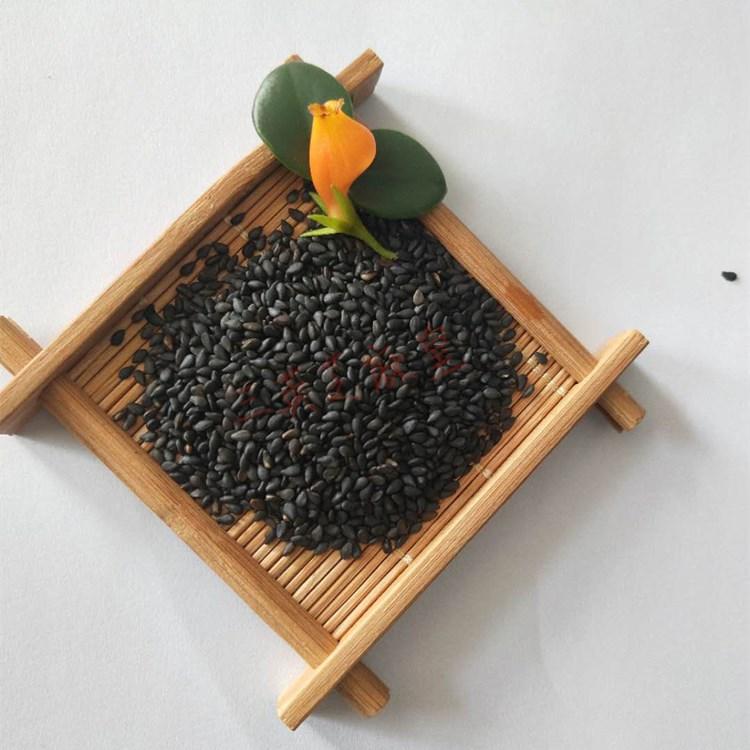 呼和浩特芝麻厂家批发 芝麻优质供应商 认准三英芝麻皇