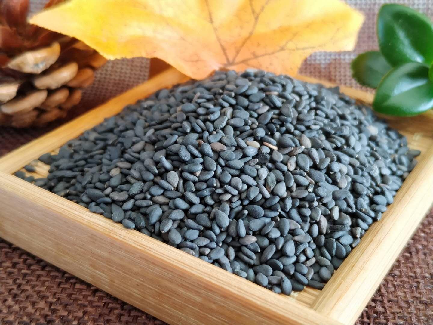 大庆黑芝麻厂家批发 大庆黑芝麻的新吃法 三英芝麻皇