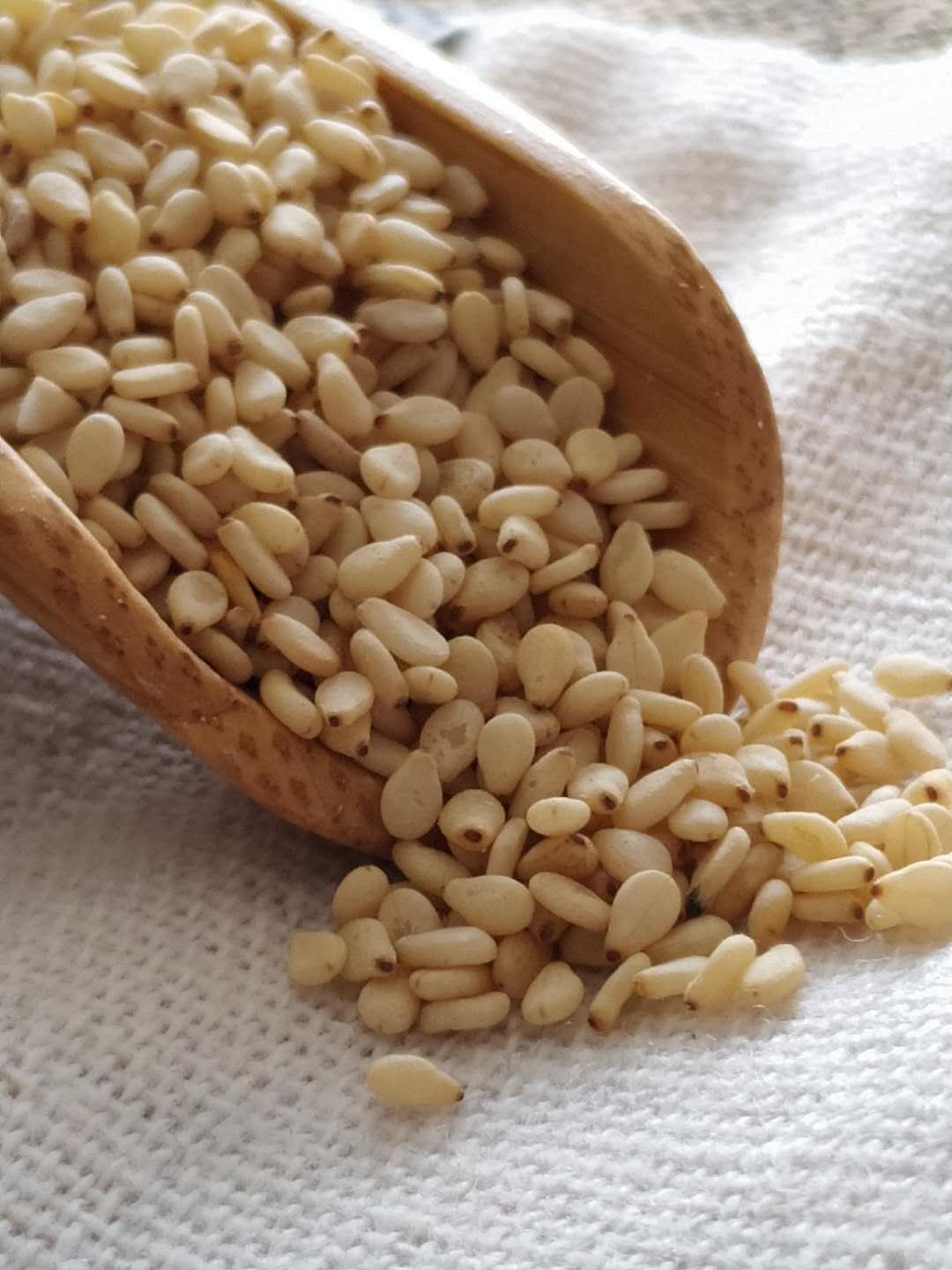 芝麻价格新行情芝麻市场批发价格 