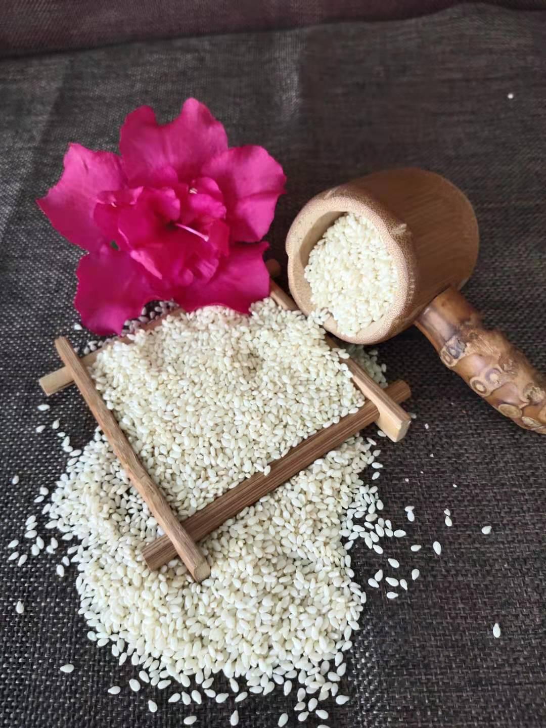 牡丹江白芝麻厂家批发价 白芝麻价格低！