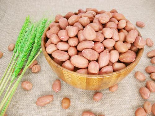 秦皇岛花生米批发，厂家直销