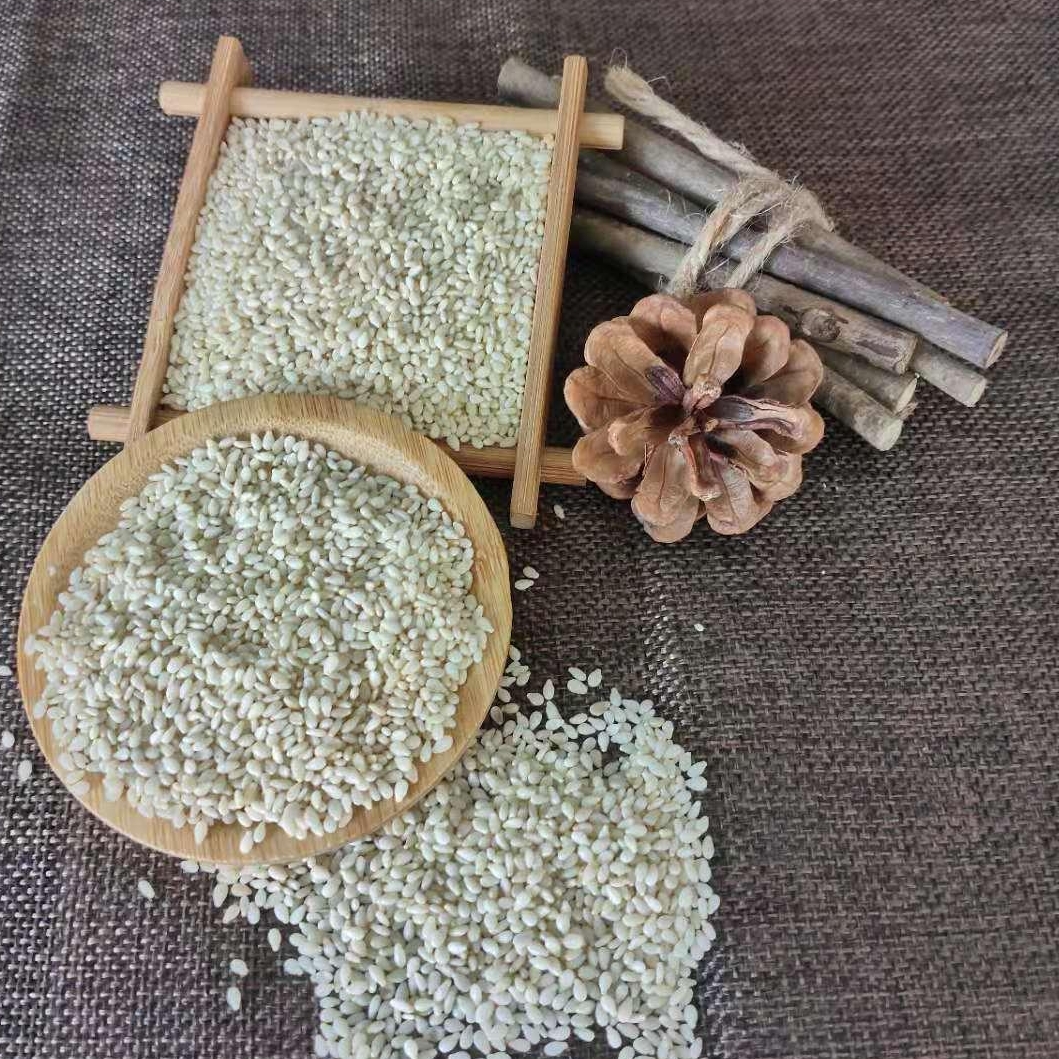 小小芝麻的前世今生 来头不小！