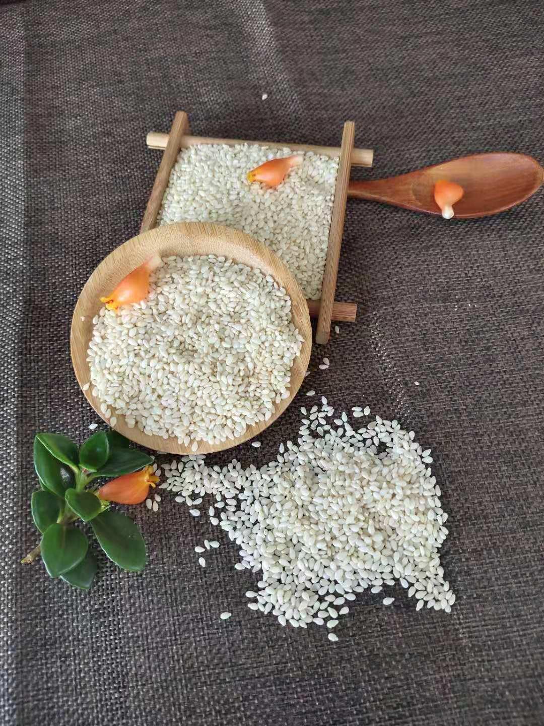 熟芝麻功效与作用_沈阳熟芝麻厂家批发价格_三英芝麻王