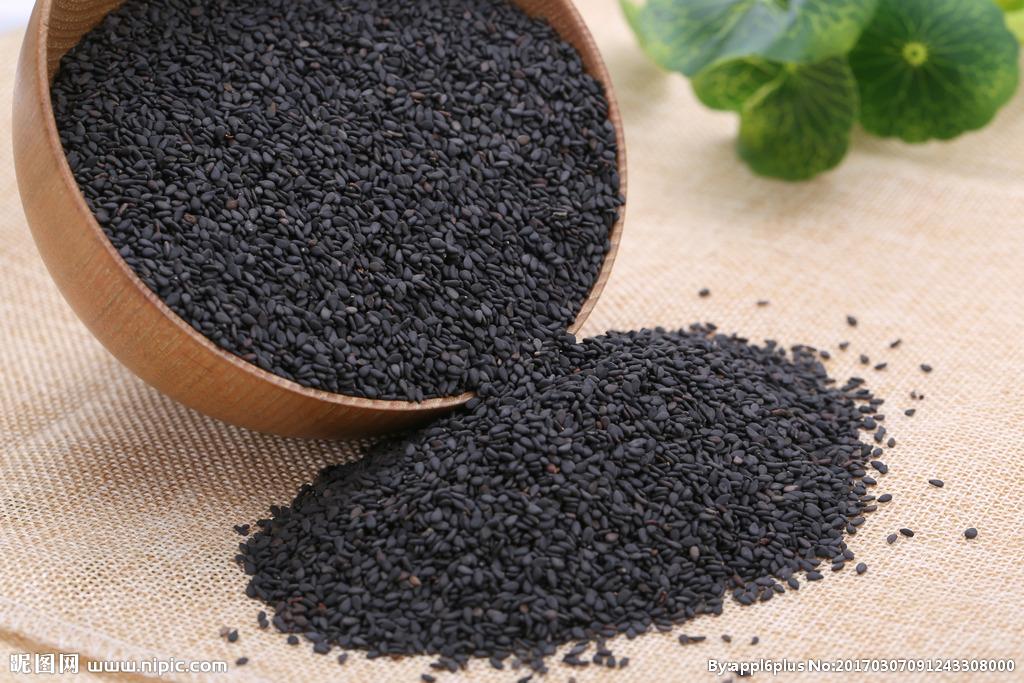 供应炒芝麻 熟黑芝麻厂家批发 黑芝麻加工订购