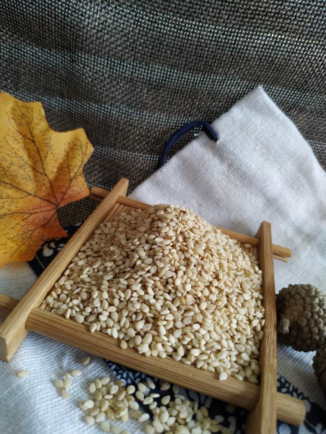 烧饼专用白芝麻 醇香白芝麻 芝麻现货低价出售