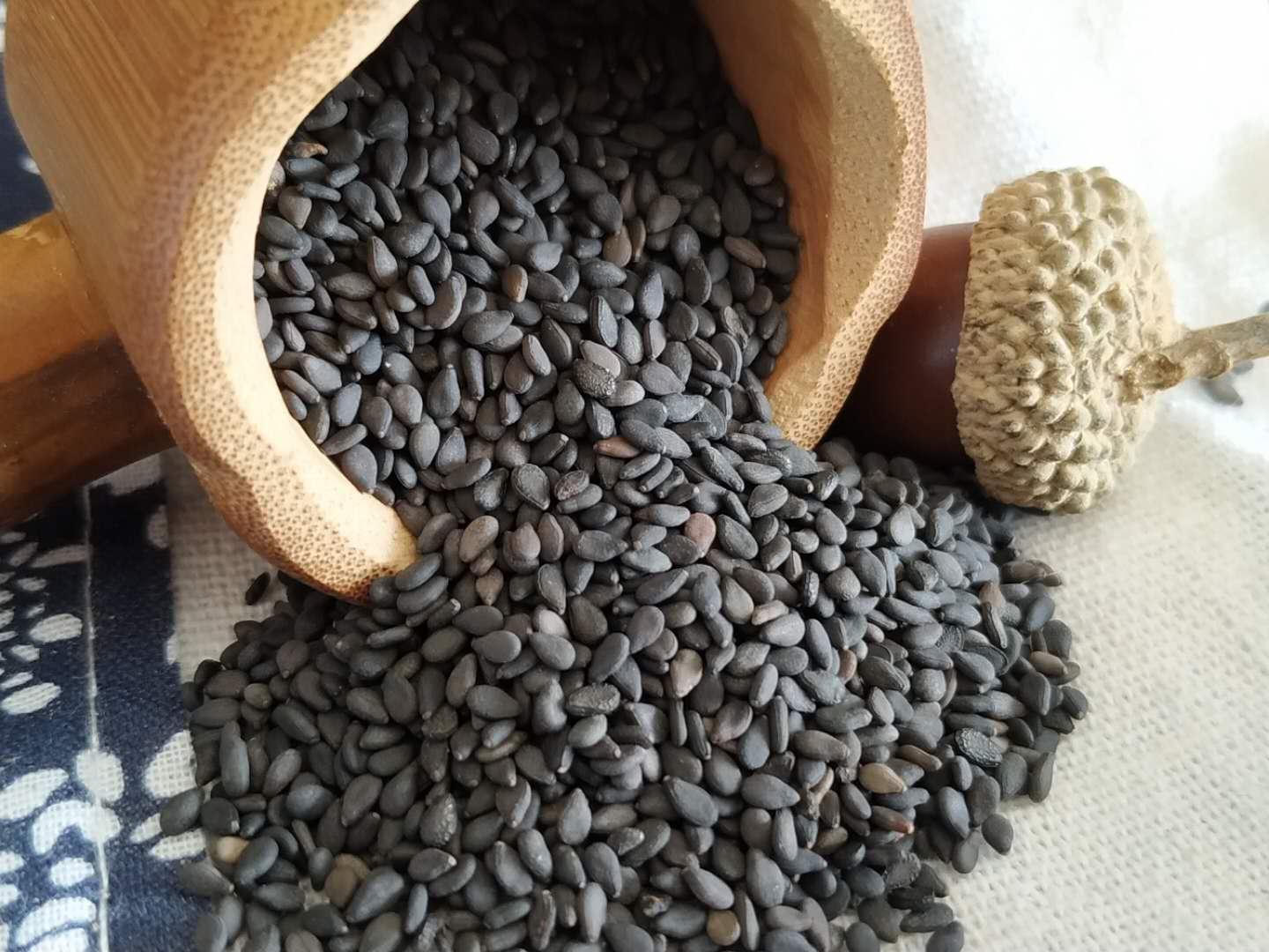 邯郸芝麻批发市场 在邯郸去哪买芝麻最便宜 芝麻批发价