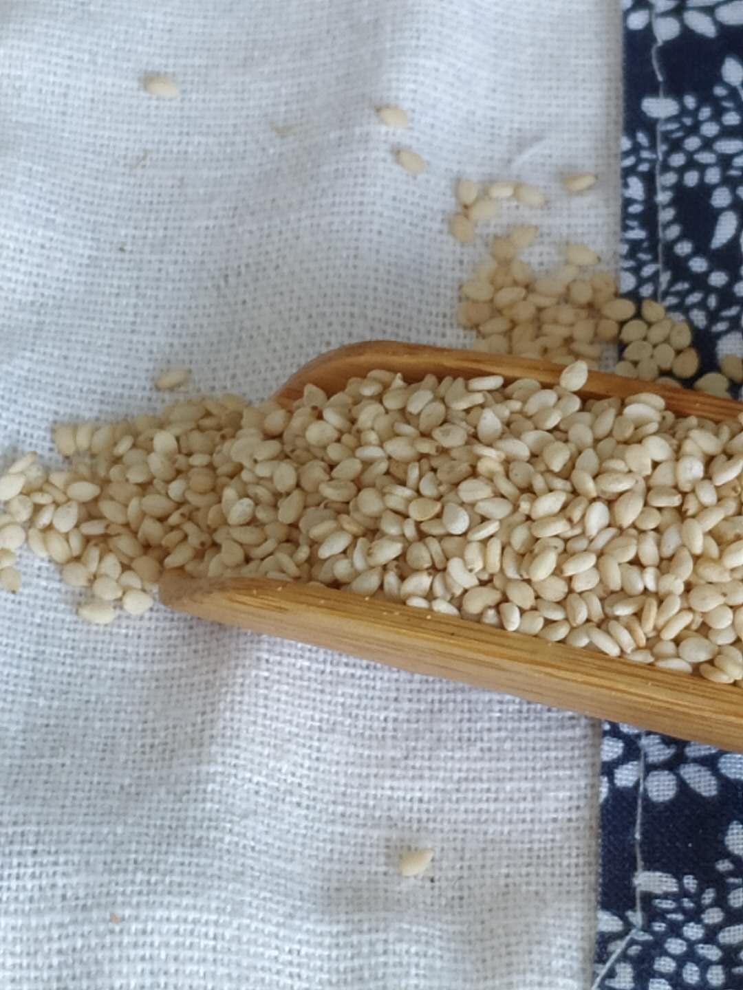 辽宁地区靠谱的芝麻厂家 辽宁芝麻厂家批发报价表