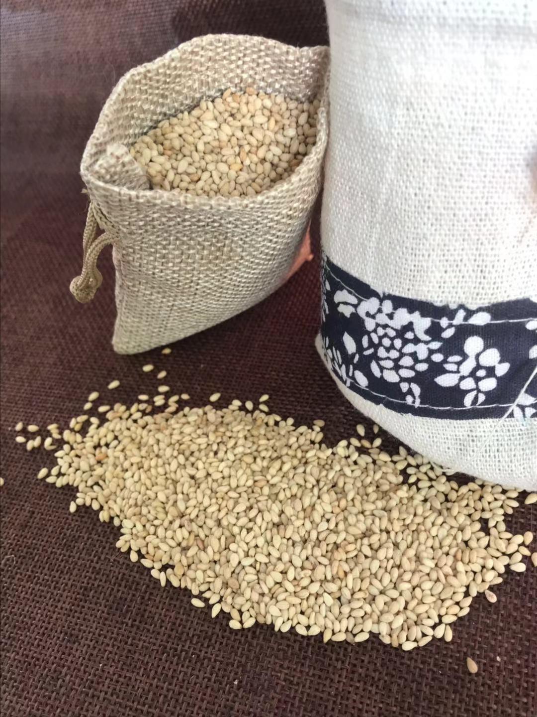 想买白芝麻 商用的白芝麻去哪买 便宜好芝麻哪里卖