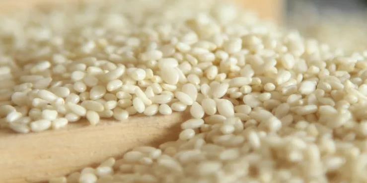 河南白芝麻价格最新行情 驻马店芝麻价格