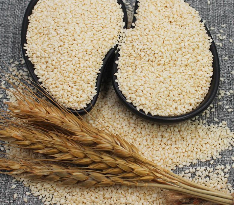 加工白芝麻 芝麻东北地区直营厂 高品质出厂价