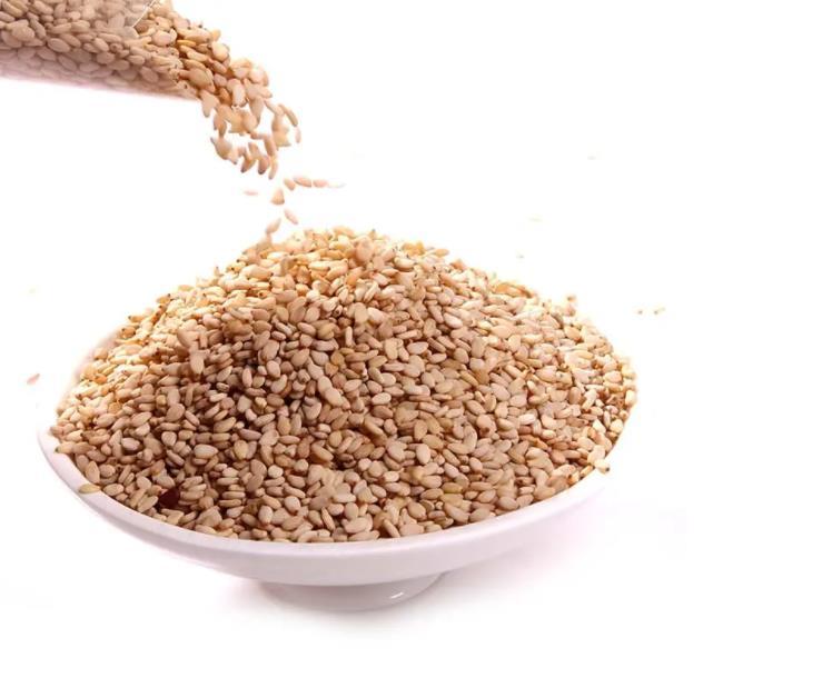 现在白芝麻市场价格 今日芝麻厂家报价