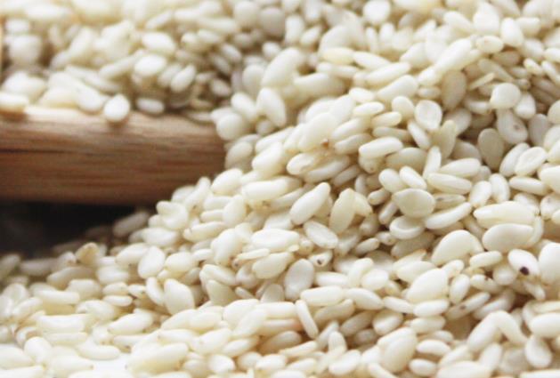 东北特产白芝麻 大颗粒芝麻 醇香熟白芝麻 厂家现货批发