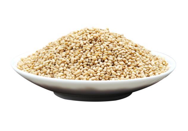 白芝麻图片 食品厂直销新鲜白芝麻粒 味道醇香 价格低